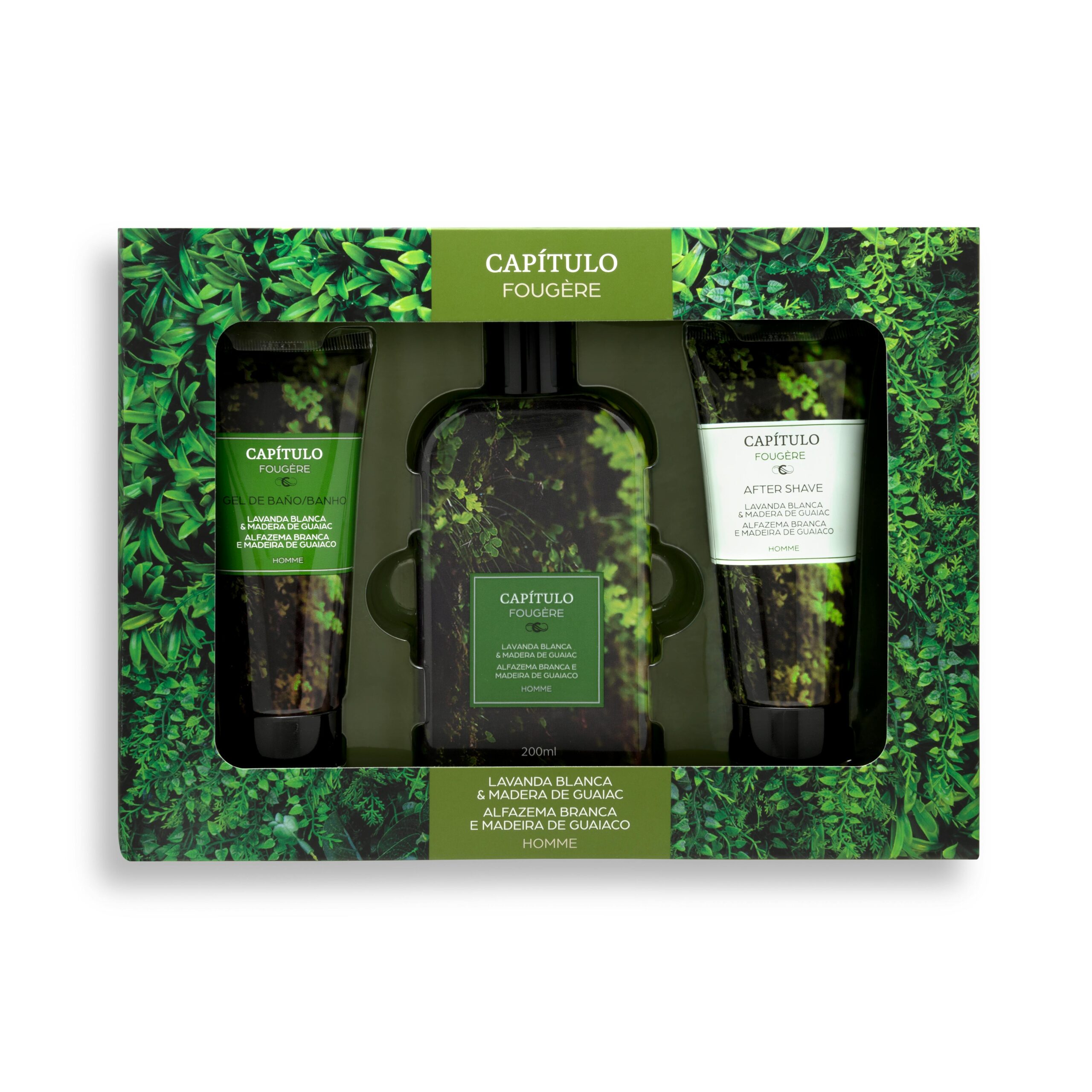 Lote hombre Capítulo Fougère